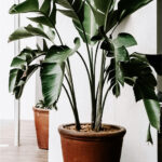 indoor-portfolio3