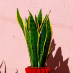 outdoor-portfolio2