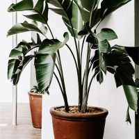 indoor-portfolio3