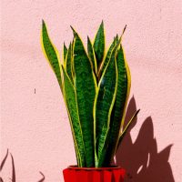 outdoor-portfolio2